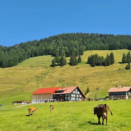 Alpe Berg Balderschwang