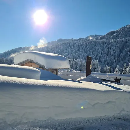 Apartment Alpe Berg *