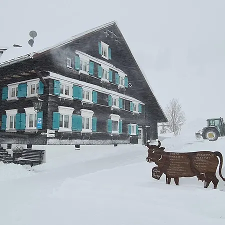 Alpe Berg Apartment *