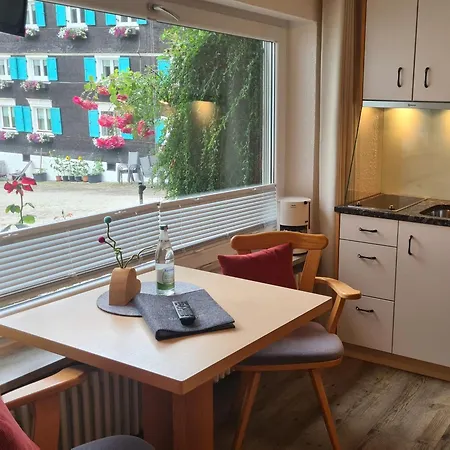 Alpe Berg Apartment *