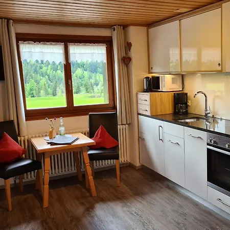 Alpe Berg Apartment Balderschwang