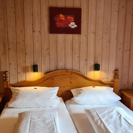 Alpe Berg Apartment